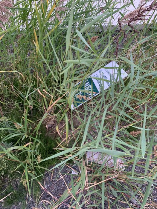 More vandalized and thrown away signs :(